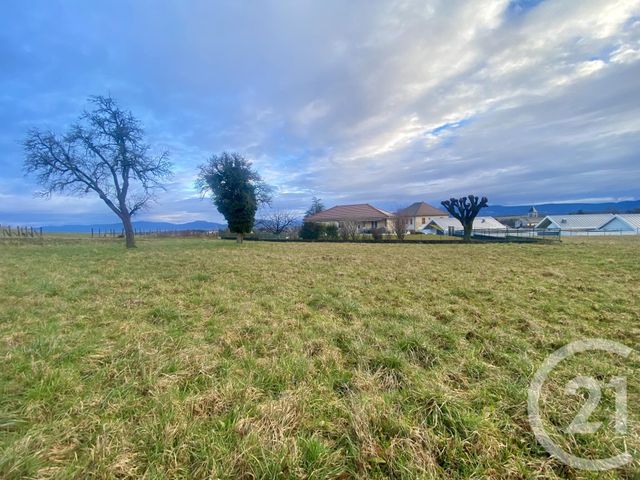 terrain à vendre - 1408.0 m2 - CHARANCIEU - 38 - RHONE-ALPES - Century 21 Arlaud Transaction