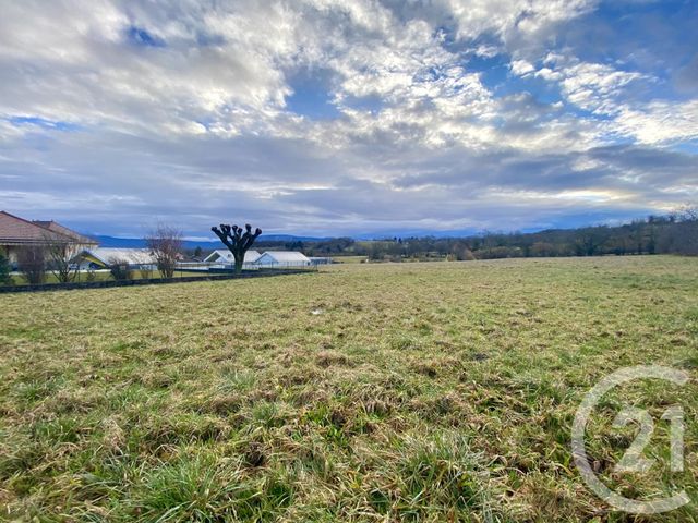 terrain à vendre - 1408.0 m2 - CHARANCIEU - 38 - RHONE-ALPES - Century 21 Arlaud Transaction