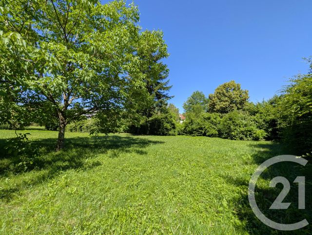 terrain - ST BERON - 73